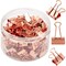 100 Pack Rose Gold Binder Clips Paper Clamps, 0.75 inch File Clips for School Files Documents, Modern Office Supplies